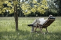mann-buch-lesen-ruhe-relaxen-entspannung-b_mg_9835