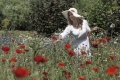 mohnfeld-frau-blumenwiese-blumen-pfluecken-j_mg_1857