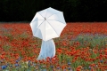 mohnfeld-weiss-sonnenschirm-blumenwiese-frau-e_o1i1296