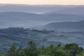nebel-landschaft-toscana-1_dsc1957