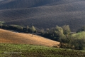 landschaft-crete-senesi-toscana-a_dsc7805