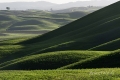 landschaft-crete-senesi-toscana-a_dsc8136
