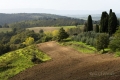 landschaft-toscana-a_dsc7990