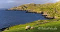 Landschaften-Felsen-Steilkueste-Wild-Atlantic-Way-Irland-Irische-Kueste-Westkueste-A_SAM5160