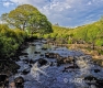 Landschaften-Fluss-natuerlicher-Bach-Wild-Atlantic-Way-Irland-Irische-Kueste-Westkueste-A_SAM4664