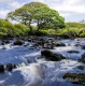 Landschaften-Fluss-natuerlicher-Bach-Wild-Atlantic-Way-Irland-Irische-Kueste-Westkueste-A_SAM4780