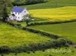Landschaften-Landhaus-Haus-Wild-Atlantic-Way-Irland-Irische-Kueste-Westkueste-A_SAM4658