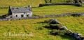 Landschaften-Weiden-Steinmauern-Steinwaelle-Steinwall-Wall-Wild-Atlantic-Way-Irland-Irische-Kueste-Westkueste-A_SAM5149