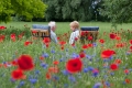 zweisamkeit-mohn-blumen-wiese-j_mg_0912