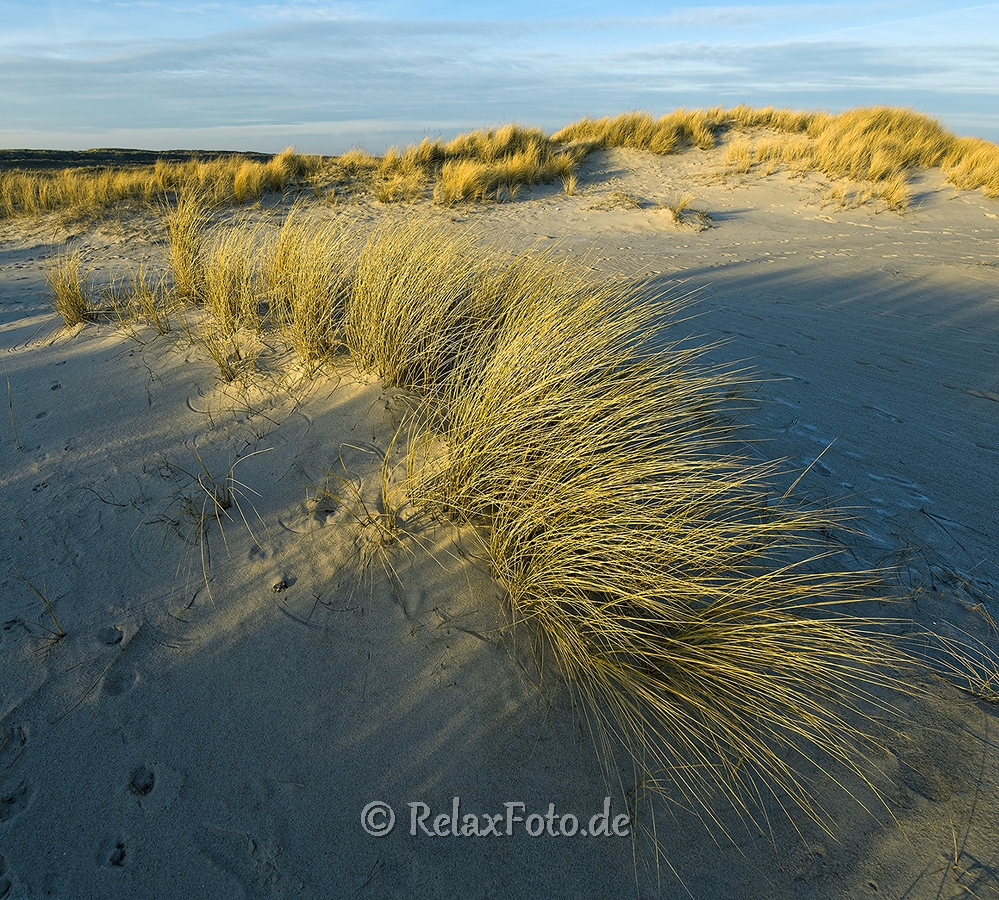 Ellenbogen-Duenen-Sand-Sylt-Winter-Bilder-Fotos-Strand-Landschaften-A7RII-DSC01263a