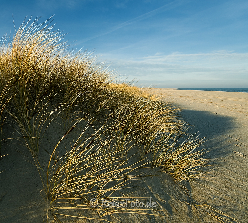 Ellenbogen-Duenen-Sand-Sylt-Winter-Bilder-Fotos-Strand-Landschaften-A7RII-DSC01320