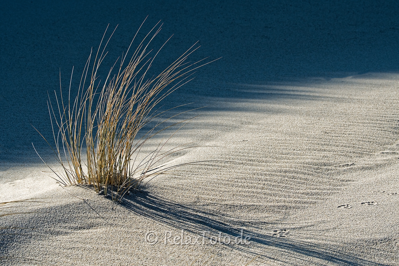 Ellenbogen-Duenen-Sand-Sylt-Winter-Bilder-Fotos-Strand-Landschaften-A_NIK500_2464
