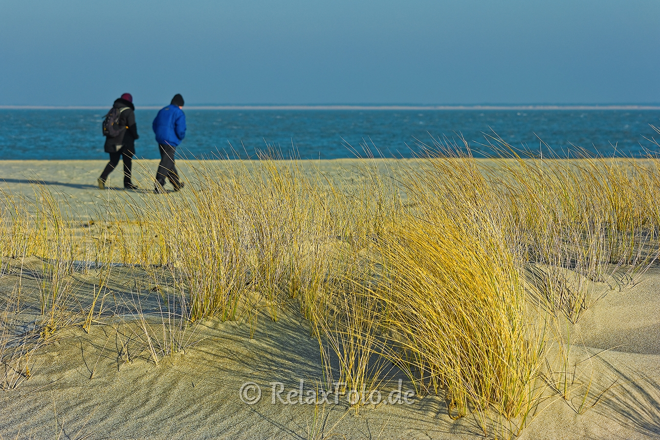 Ellenbogen-Duenen-Sand-Sylt-Winter-Bilder-Fotos-Strand-Landschaften-B_SAM_1452