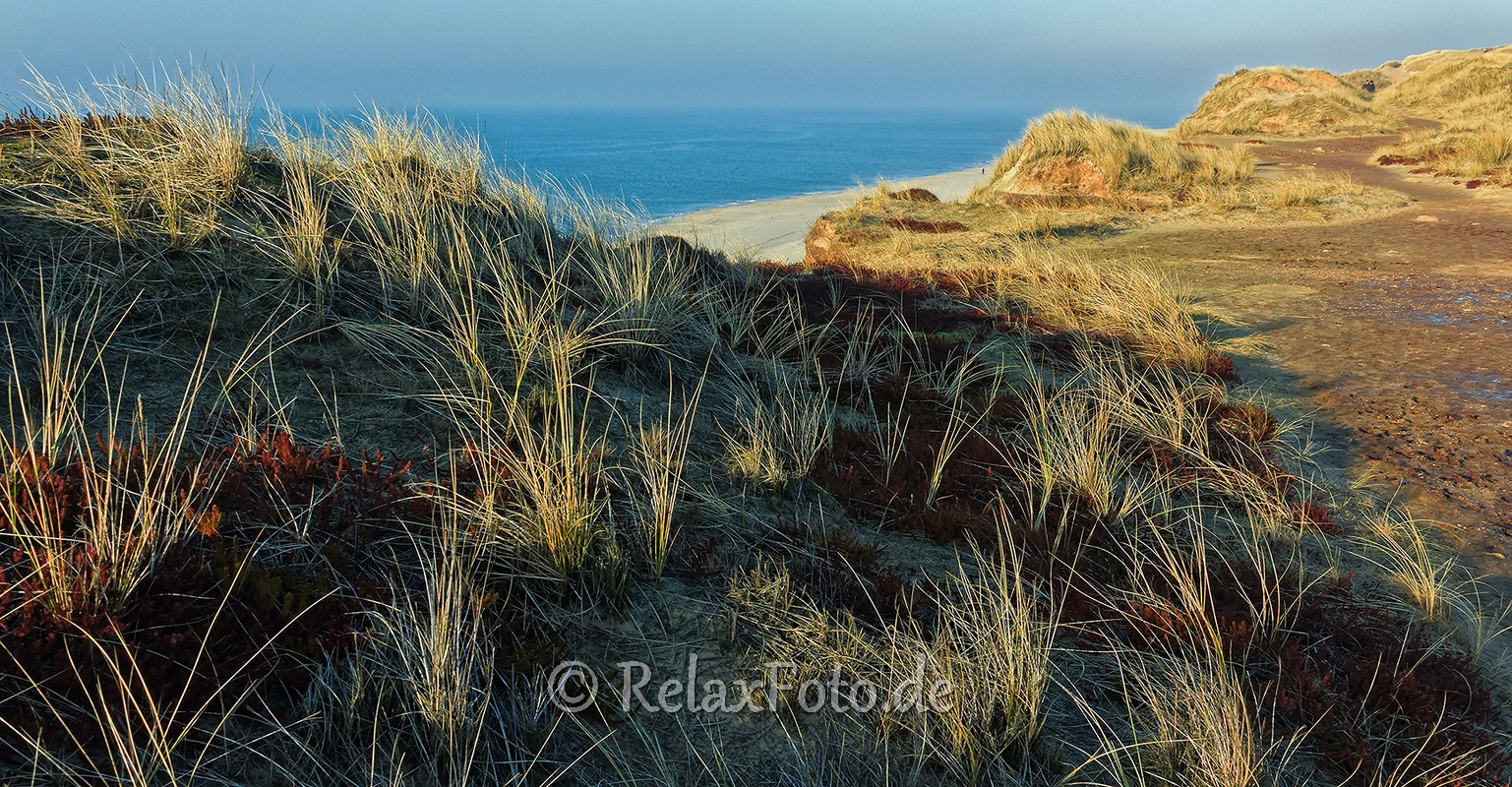 Rotes-Kliff-Wenningstedt-Duenen-Sand-Sylt-Winter-Bilder-Fotos-Strand-Landschaften-RX_01452