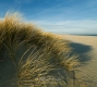 Ellenbogen-Duenen-Sand-Sylt-Winter-Bilder-Fotos-Strand-Landschaften-A7RII-DSC01320