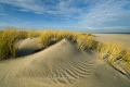 Ellenbogen-Duenen-Sand-Sylt-Winter-Bilder-Fotos-Strand-Landschaften-A7RII-DSC01388