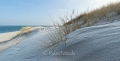 Ellenbogen-Duenen-Sand-Sylt-Winter-Bilder-Fotos-Strand-Landschaften-A_NIK500_2342