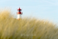 Ellenbogen-Leuchtturm-Duene-Sylt-Winter-Bilder-Fotos-Strand-Landschaften-B_NIK_1514a