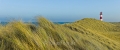 Ellenbogen-Leuchtturm-Duenen-Sand-Sylt-Winter-Bilder-Fotos-Strand-Landschaften-C_SAM_1442