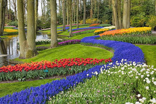 Tulpenbeete auf em Keukenhof